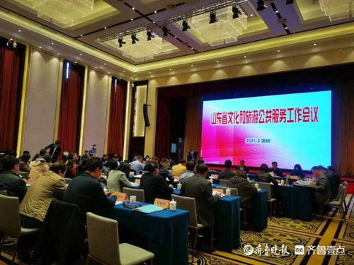 东营在全省文旅公共服务工作会议上作典型发言