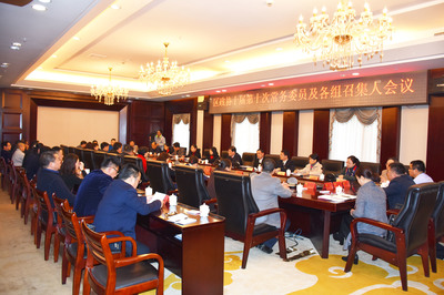 【聚焦两会】区政协召开十届第十次常务委员及各组召集人第二次会议
